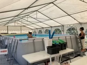 découvrez comment la piscine démontable révolutionne l'apprentissage de la natation pour les écoliers.