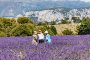 Explorez les merveilles des gorges du Verdon et des champs de lavande depuis Nice