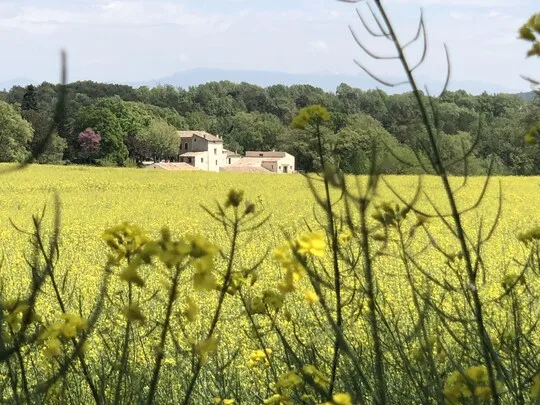 Les Ânes de Forcalquier Les Ânes de Forcalquier