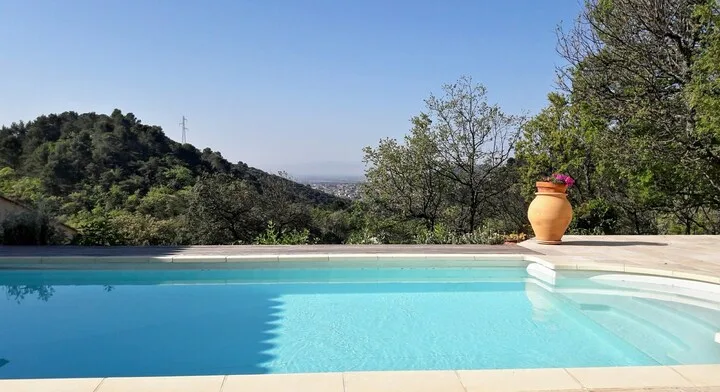 PROVENCE Dodo