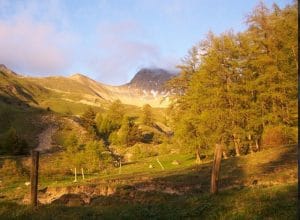 découvrez bréole, un trésor caché de la provence, où nature, histoire et culture se rencontrent. explorez ses paysages pittoresques, ses sites historiques et plongez dans l'authenticité provençale. une expérience inoubliable au cœur de la région ensoleillée.
