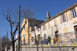 découvrez le noyer jabron, un arbre majestueux apprécié pour son bois noble et ses feuilles denses. plantez-le dans votre jardin pour profiter de son ombre généreuse et de sa beauté naturelle, tout en attirant la biodiversité.