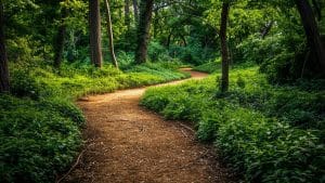 À découvrir : ce parc caché de PACA abrite l'un des sentiers d'exception en France