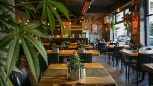 Fin prématurée pour le projet du 'restaurant du cannabis' à Sisteron