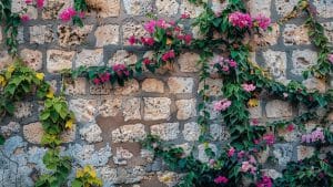Découverte de Caire, un village typique de la Provence