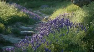 Découverte de Saint-Pierre : un bijou caché de la Provence