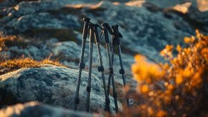 Ascension du Mont Fleuri (2511m) : un circuit captivant à travers les Confins