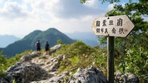 Ascension du Sommet de Lure (1826 m) depuis Peipin