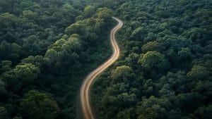 Rando en boucle : À la découverte des crêtes des Aigues Champs (1348 m) et de la Montagne de Gache (1357 m)