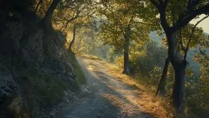 Randonnée en boucle : Du Molard (729 m) au Rocher du Turc (885 m) via le col de la Mairie