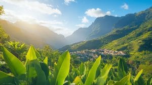 Randonnée en boucle vers le Pic de Saint-Cyr (1365 m) depuis Antonaves